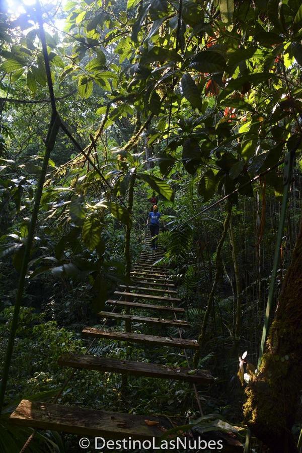 Ciudad De Las Rocas La Fortuna Gallo Giro ภายนอก รูปภาพ