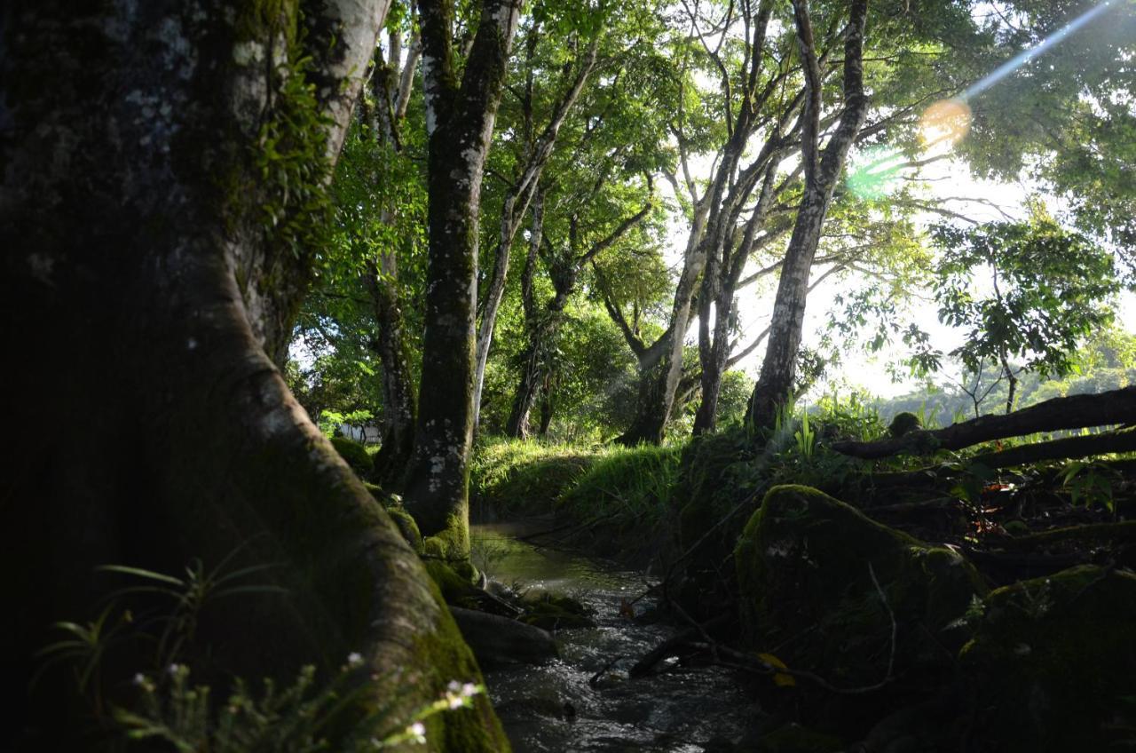 Ciudad De Las Rocas La Fortuna Gallo Giro ภายนอก รูปภาพ